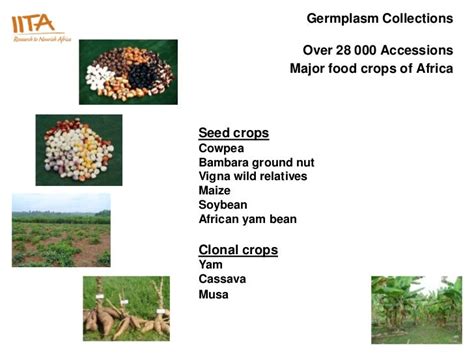 Germplasm collections,conservation, health documentation and distribu…