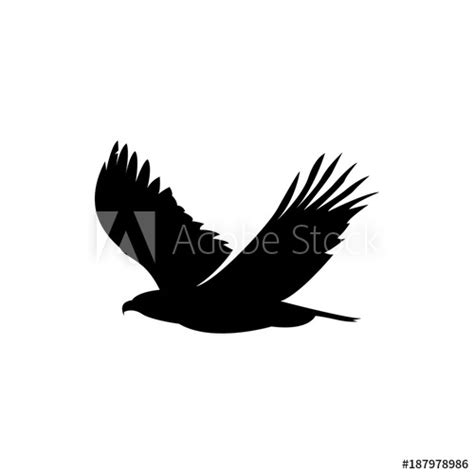 Flying Eagle Vector at Vectorified.com | Collection of Flying Eagle Vector free for personal use