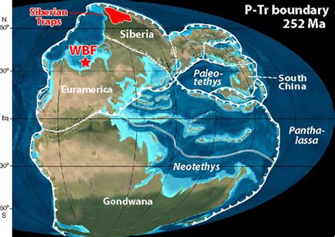 Permian–Triassic extinction event - Alchetron, the free social encyclopedia