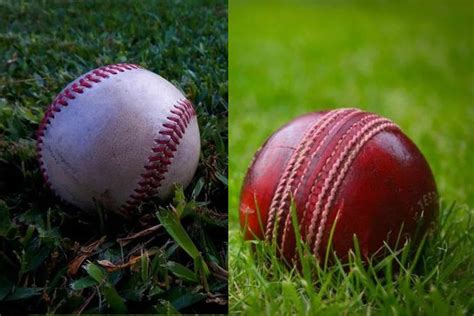 Cricket Ball Vs Baseball (Color, Size, Weight, Hardness) | Little Ballparks