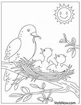 Free Bird Coloring Pages For Download PDF  VerbNow sketch template