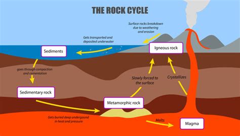 The Rock Cycle