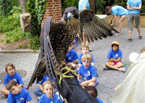 Summer Camp - Central Park Zoo