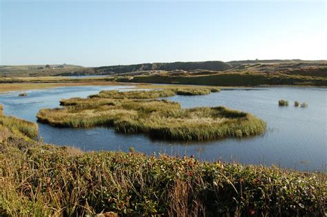 Muñoz Broder Family Blog: Pescadero Marsh Natural Preserve