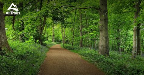 Best views trails in Blickling Park | AllTrails