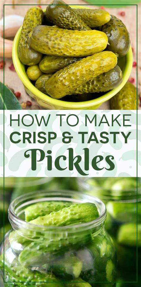 Pickling 101: How To Make Crisp & Tasty Pickles At Home - Key Ingredient | Canning dill pickles ...