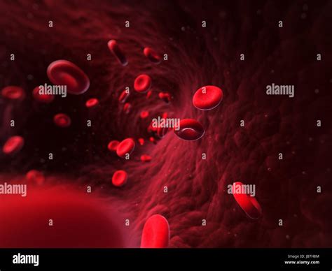 3d rendered illustration of human blood cells Stock Photo - Alamy