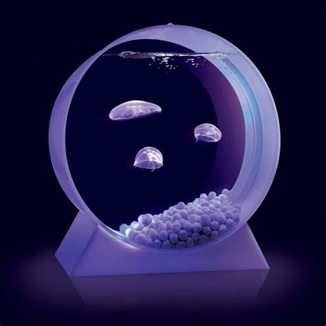 An affordable jellyfish tank for $250?! sign me up! | Jellyfish tank, Pet jellyfish, Jellyfish art