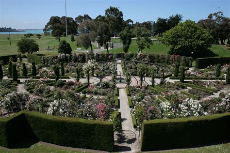 Timaru rose gardens. | New zealand, Dolores park, Timaru