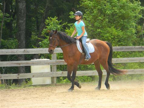 MayMay's Life: Horse Riding Lessons