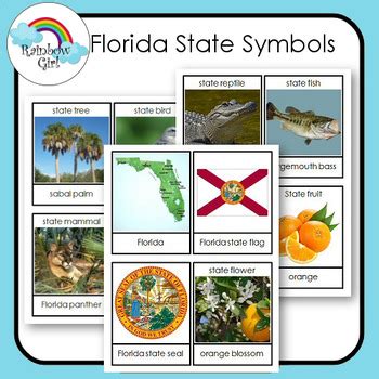 Florida State Symbols Cards by Rainbow Girl | Teachers Pay Teachers