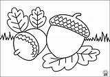 Printable Acorn Coloring Pages sketch template