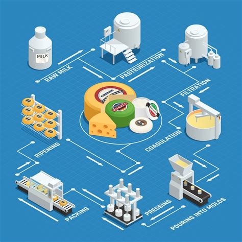 Free Vector | Dairy factory cheese production process