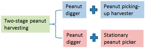 Sustainability | Free Full-Text | Determination of Planting Pattern and ...