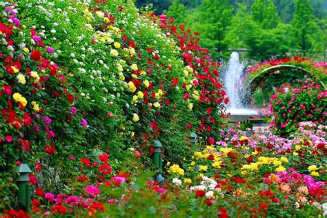 Beautiful Flower Garden Hd Images - Home Alqu