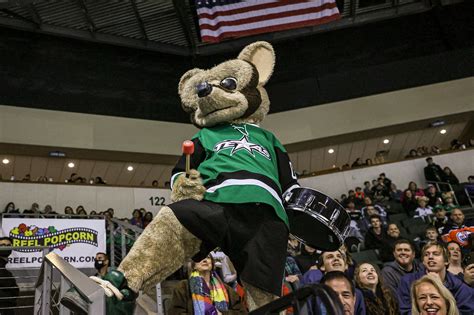 Texas Stars’ Ringo Completes Three-Peat as Mascot of the Year | Texas ...