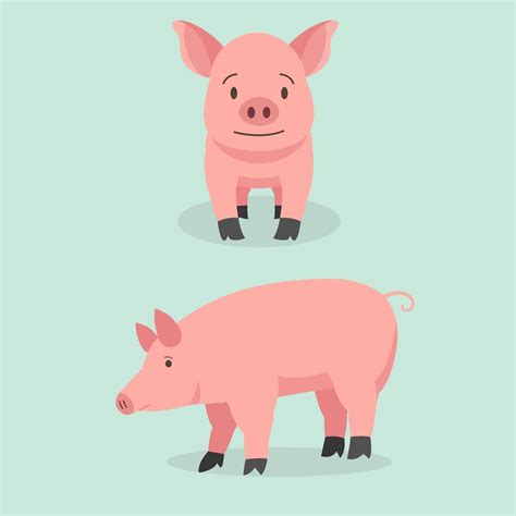 Cute cartoon pig set vector illustration.Piggy front and side view character design 2714151 ...