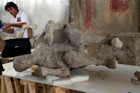 The History Blog » Blog Archive » Plaster casts of Vesuvius’ victims restored