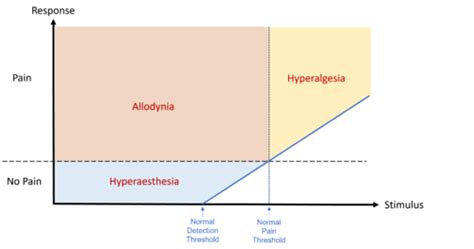 Allodynia and Alloknesis - WikiMSK