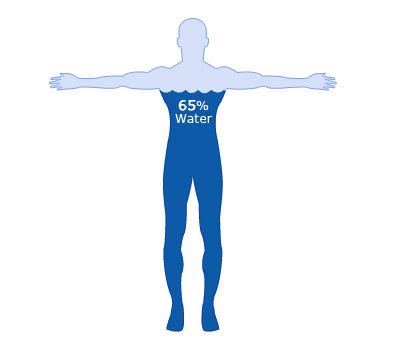 Learning Aim 7 - "Discuss water balance in the body" - Mr Brown's ...