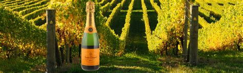 Veuve Clicquot: History in a Bottle - Cork and Journey