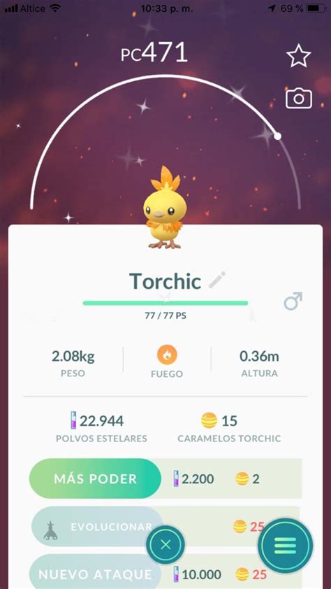 Shiny torchic : r/TheSilphRoad