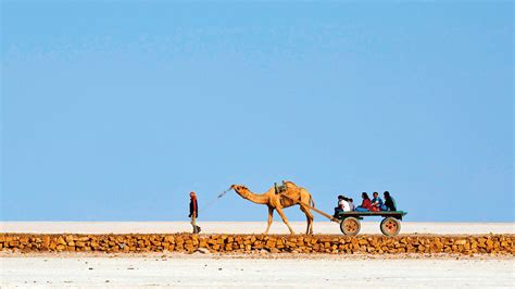 Rann of Kutch - History, Sightseeing, Things to Do, Hotel | Adotrip