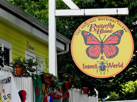 Butterfly House Mackinac Island - Butterfly Mania