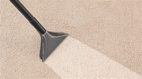 Vanish Carpet Cleaner Safe For Pets | Review Home Co