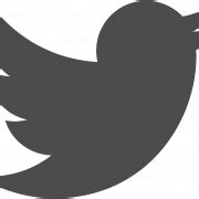 Twitter Logo PNG Picture - PNG All