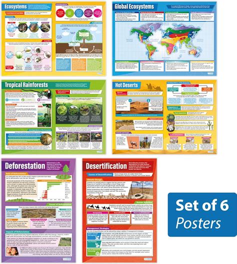 Ecosystems Posters – Set of 6 | Geography Posters | Laminated Gloss ...