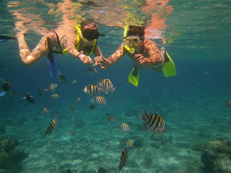 Snorkeling in Isla Mujeres – Discover Its Amazing Underwater World | Yachts Riviera Maya