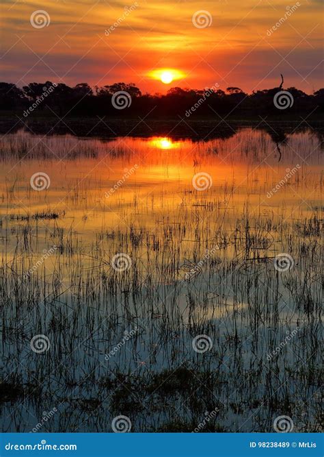 Sunset in the Okavango Delta at Sunset, Botswana Stock Image - Image of ...