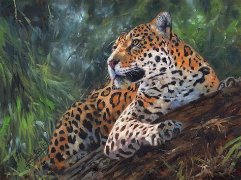 Jaguar In Tree Painting by David Stribbling - Fine Art America