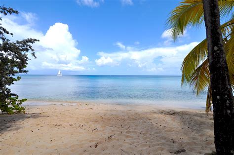 The beach at Tamarind Cottage | Barbados Barbados