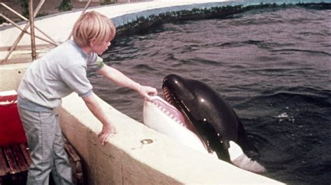 A Whale of a Tale (1977) | FilmFed