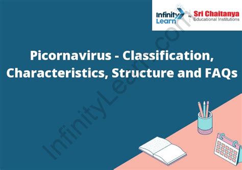 Picornavirus - Classification, Characteristics, Structure and FAQs - Infinity Learn by Sri Chaitanya