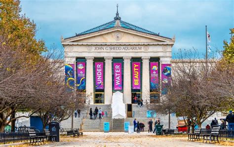 Shedd Aquarium Has Announced A Series Of Upcoming Free Days