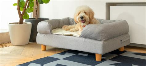 What Is The Benefit To A Large Bolster Dog Bed? – lucullusrestaurante