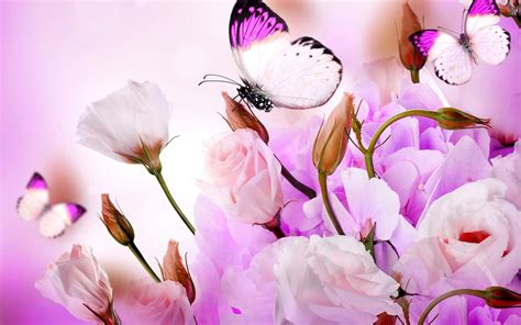 0 Flower Butterfly Wallpaper Pixels Talk Flower With Butterfly Wallpaper HD Download High Quality