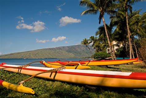 Your Guide to Maui's Top Activities | My Perfect Stays