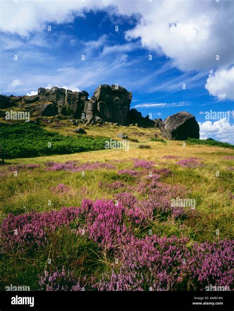 cow and calf rocks ilkley moor yorkshire dales uk Stock Photo - Alamy