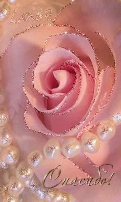 0_f30b3_3b75cbab_orig (240×400) | Красивые розы, Розы, Открытки