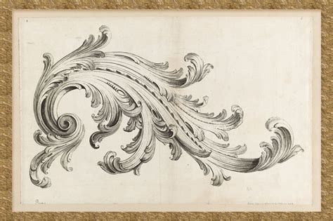 Alexis Peyrotte "Acanthus Leaf Design" 1740 etching | Acanthus, Ornament drawing, Filigree tattoo