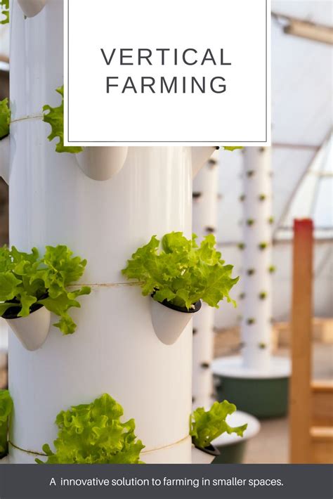 Vertical farming is innovative way to still grow your own food, even ...