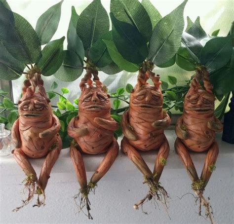 Mandrake | Harry potter mandrake, Harry potter crafts, Harry potter ...