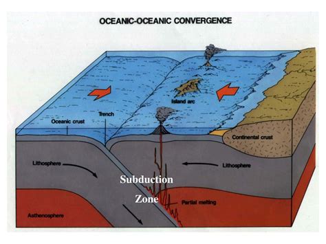 PPT - Theory of Plate Tectonics PowerPoint Presentation, free download - ID:3550355