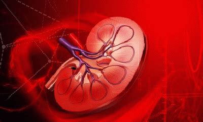 Best Urologist in India | Kidney Failure Treatments in Kerala