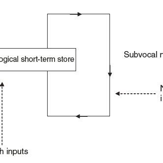 5. The Phonological Loop Model (Baddeley, 1986) | Download Scientific Diagram