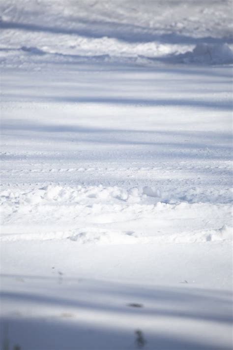 Tire Tracks in the Snow stock image. Image of beautiful - 231415373